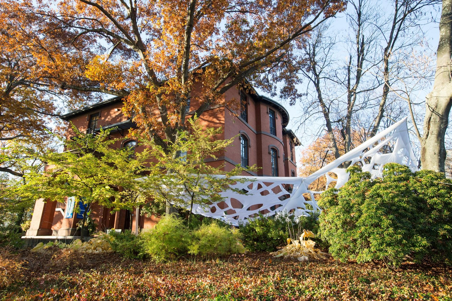 RISD - Rhode Island School of Design