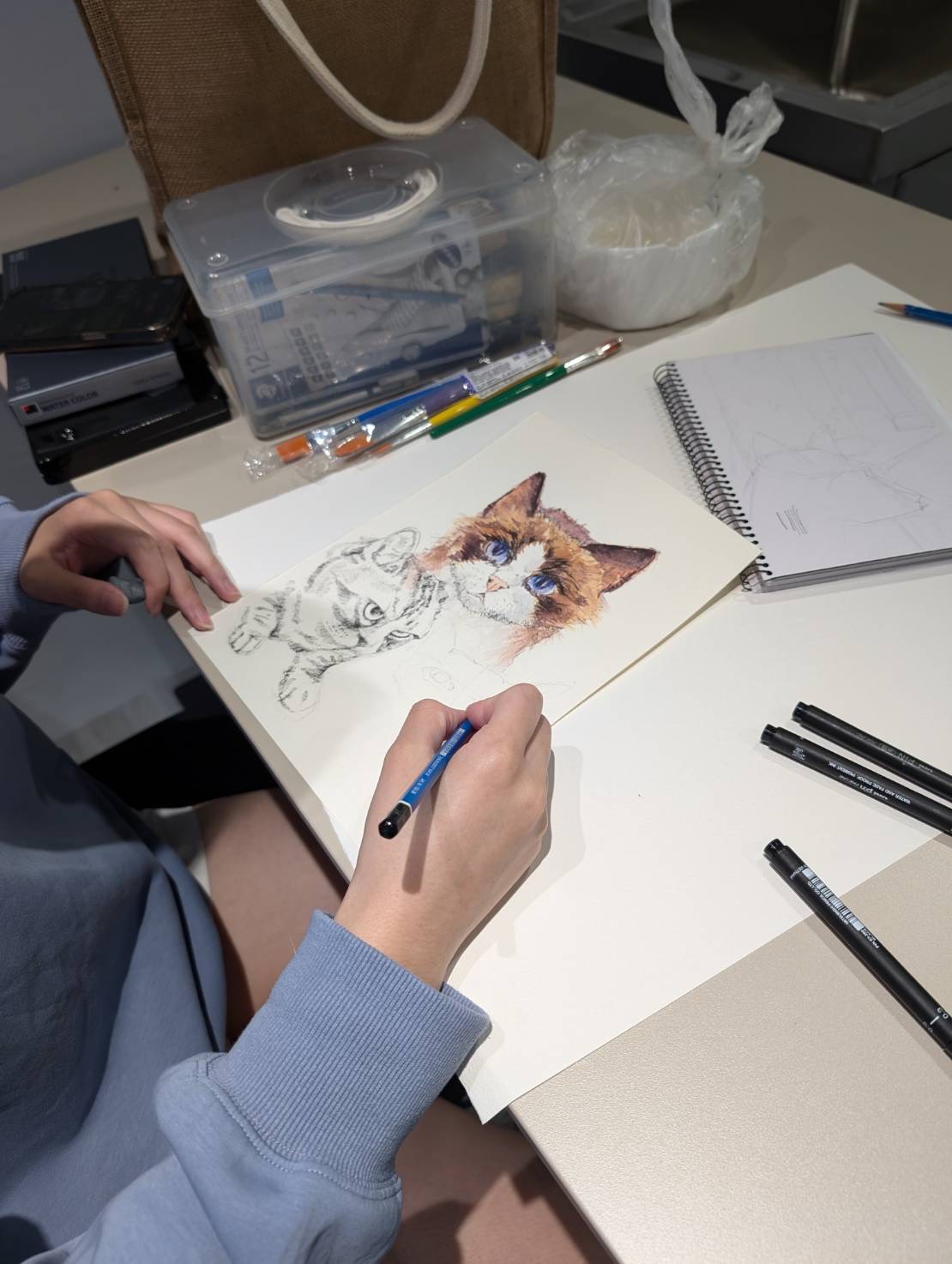 Portfolio – Colored Pencil Drawing